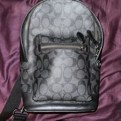 Coach Crossbody Backpack