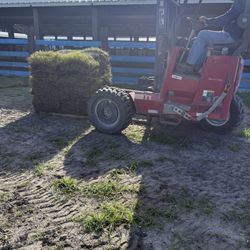 Bahia Sod Installation 
