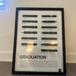 Kanye West ‘07 Graduation Album Framed Artwork