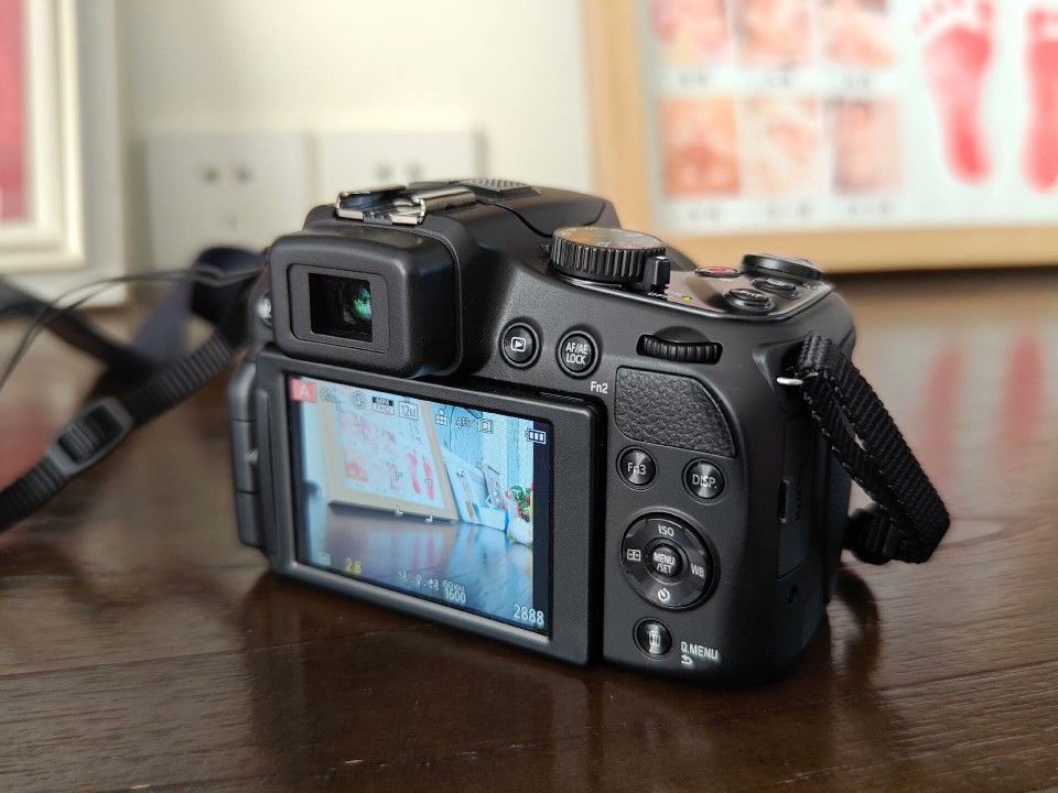 Leica V-Lux 4
