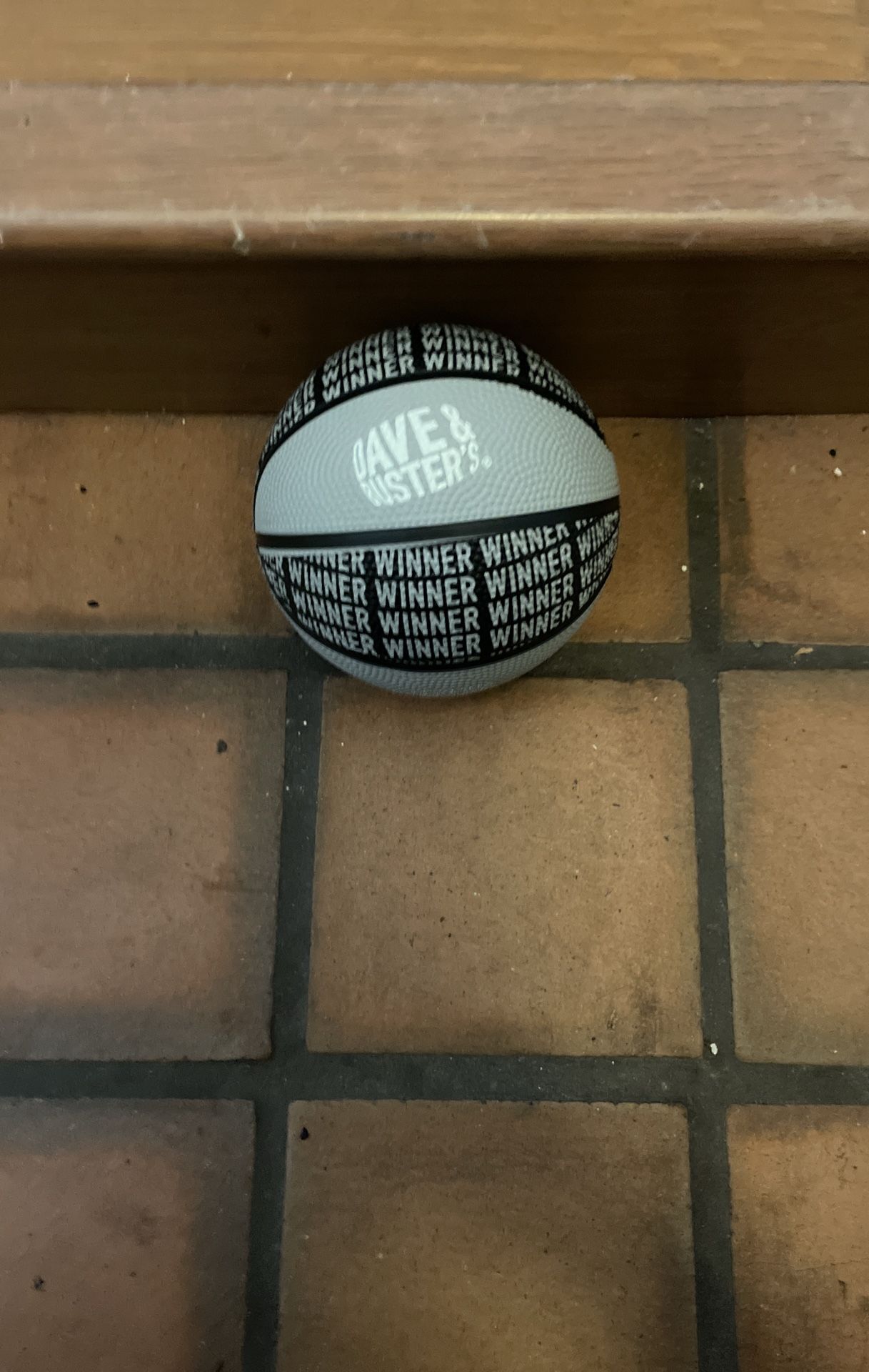 Mini Basketball Hoop and It Goes With The Mini Hoop