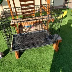 Dog Cage 