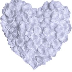 3000 Pcs White Silk Rose Petals - Ready-to-use Separated Realistic Artificial Rose Flower Petals for Wedding Proposal Anniversary Valentine's Day Brid