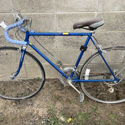 Schwinn Vintage Road Bike $35