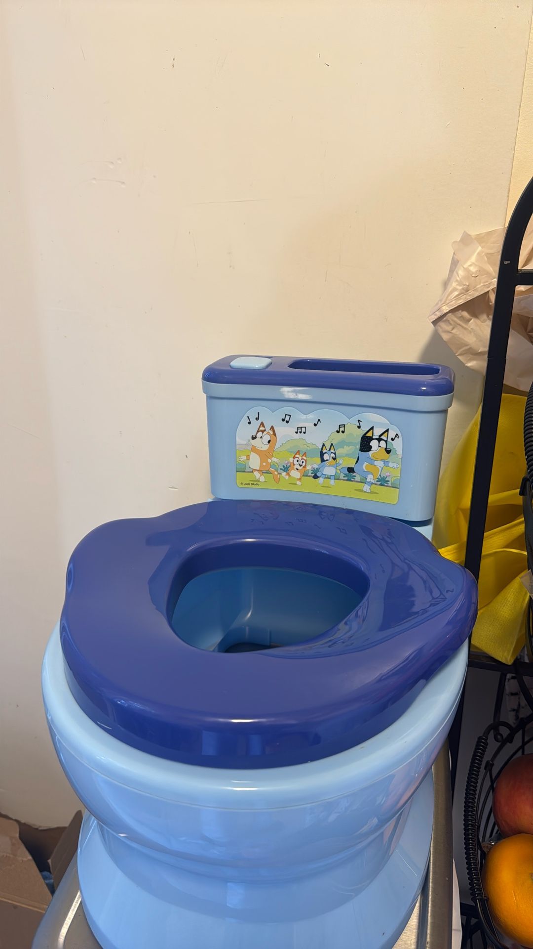 Free Potty Training Toilet 