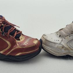 Custom NFL Air Monarch (Dad Shoe)