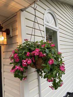 Hanging Metal Coco Baskets