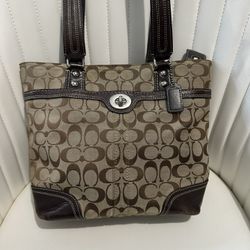 Brown Coach Bag
