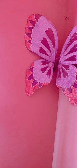 Two butterflies 🦋 for girls room