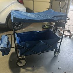 Blue Wagon With Canopy