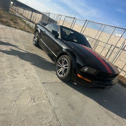2005 Ford Mustang Convertible 