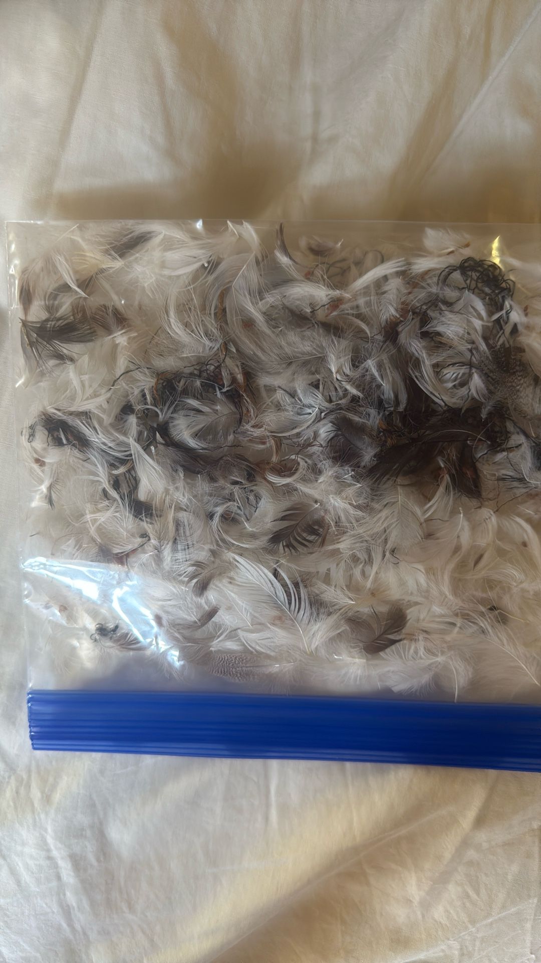 Feathers 48 Pounds, Approximate Weight.
