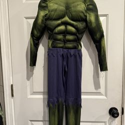 Hulk Costume 