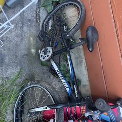 Specialized Bicycle