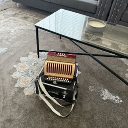 Beautiful 😻 Acordeon en tono de sol -