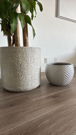 Pots for plants