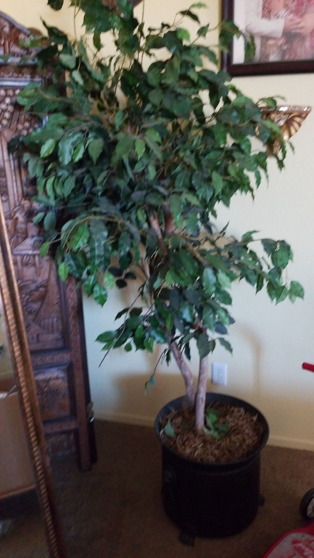 Ficus tree (artificial) 45 inches