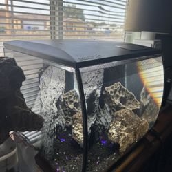 Fluval Flex 2.0 Salt Water aquatic 