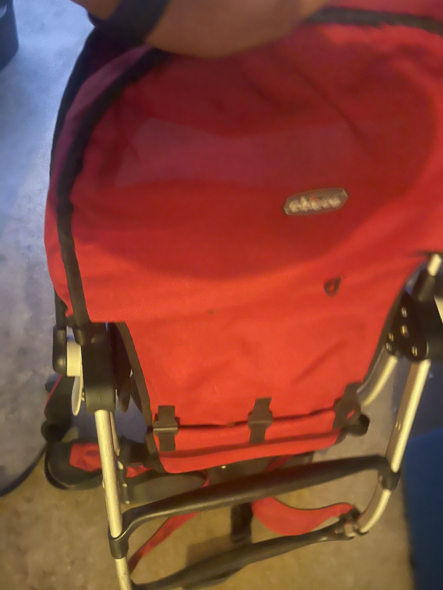 Chico Baby Hiking Carrier