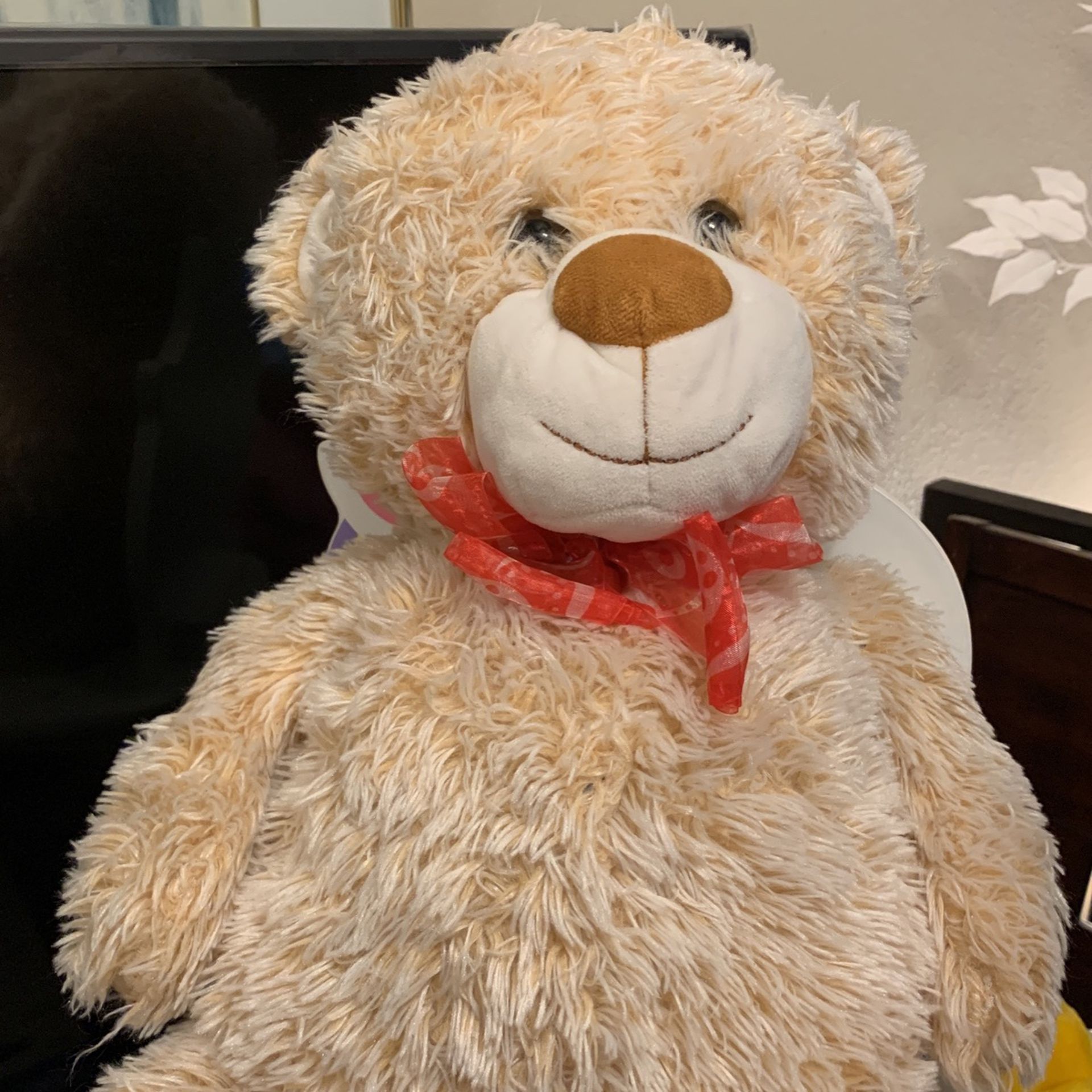 Teddy Bear 22” Homerbest