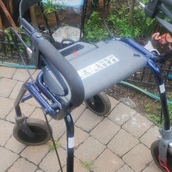 Dolomite Legacy Walker W Seat N Brakes