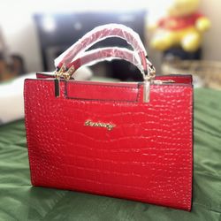 Brand New danbaoly purse