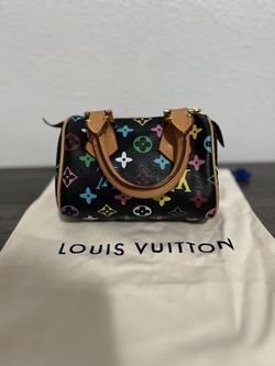 Mini Louis Vuitton Purse