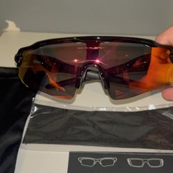 Oakley Sunglasses