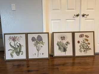 Martha Stewart Herbal Botany 4-Piece Framed Canvas Wall Art