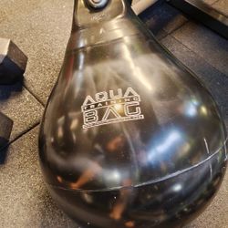 Aqua Punching Bag