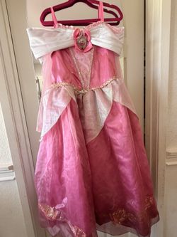 Sleeping Beauty Costume