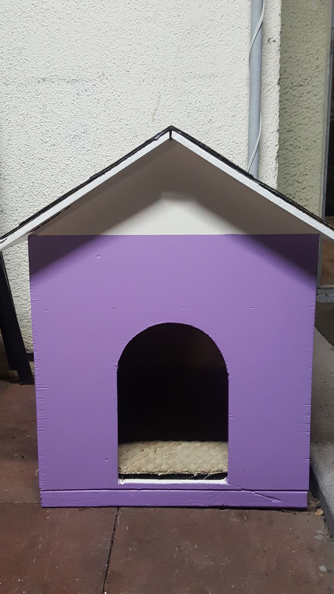 Purple Dog house