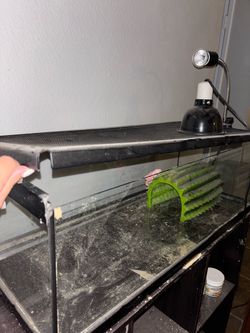 Reptile enclosure