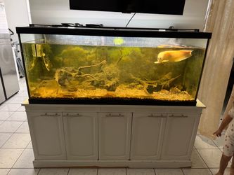 125 g tank
