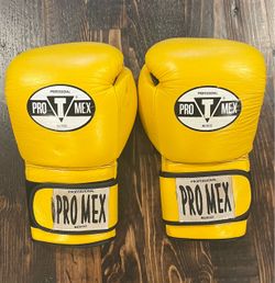 Title ProMex 3.0 Training Boxing Gloves - 16 oz