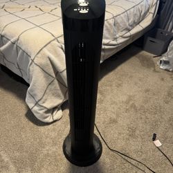 Fan