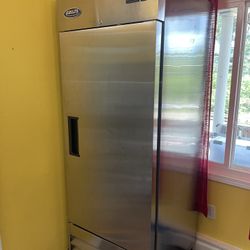 Upright Commercial Freezer