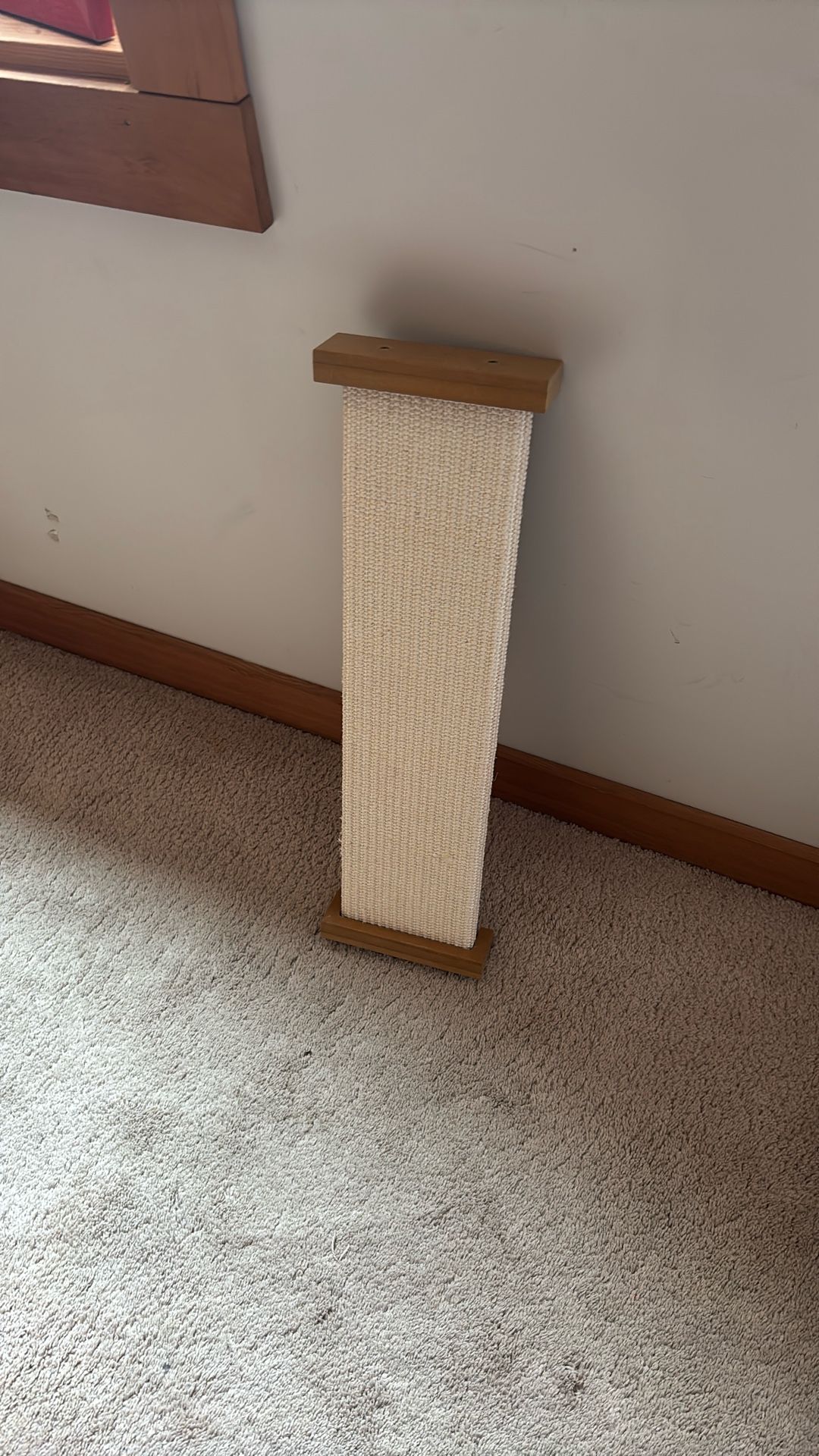 FREE - Cat Scratching Board