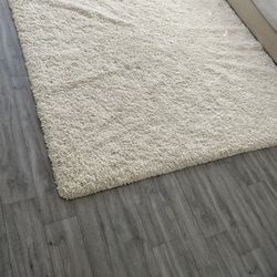 Area Rug