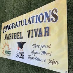 Graduation Banner, Graduate, Congrats Banner, Birthday Banner, Party Supplies