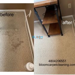 Carpet Cleaner