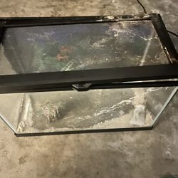 Reptile Tank/ Fish Tank 