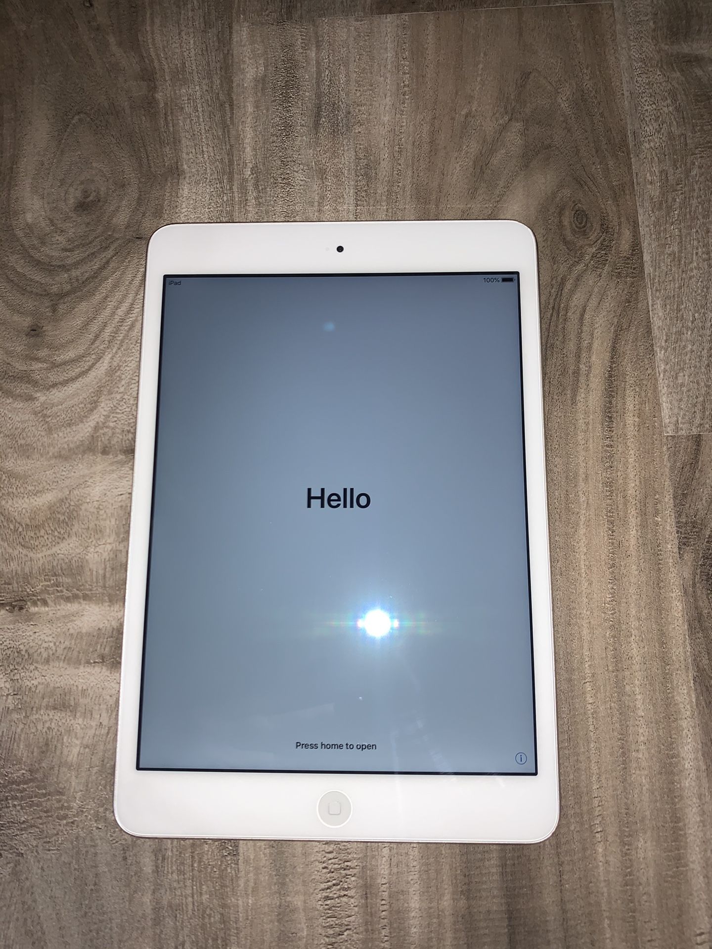 iPad Mini Series 2