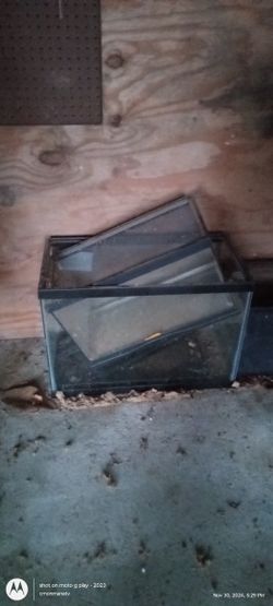 $100 For All!!!3 Tanks And 5 Lights And Everything You Need For Reptiles 