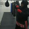 Eight Limbs SOUTHPAW