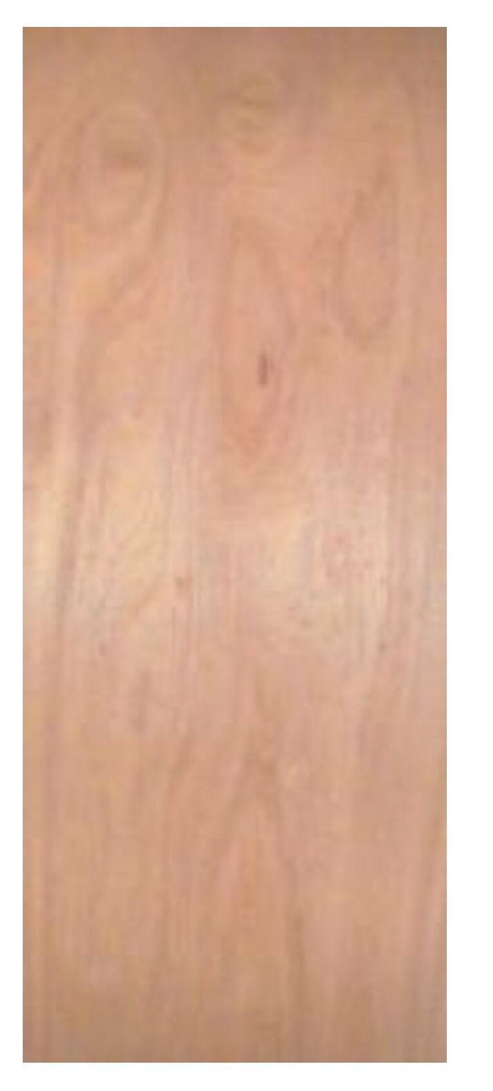 32" W x 80" H x 1-3/4" Exterior Ready-to-Finish Hardwood Solid Core Door Slab