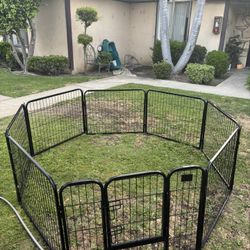 Dog. Gate