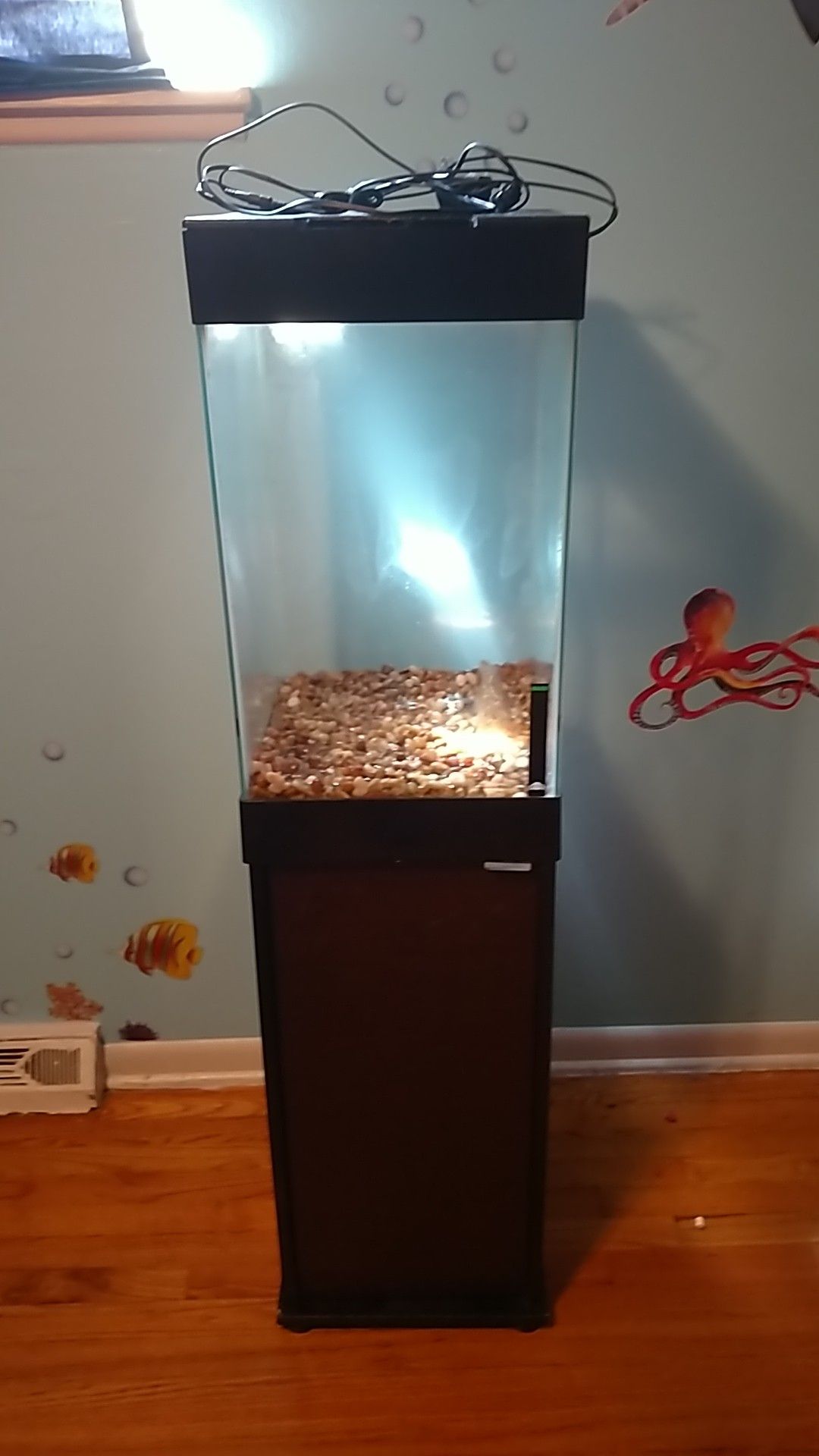 15 gallon tank