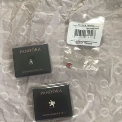 Pandora locket charms