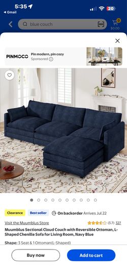 Blue couch